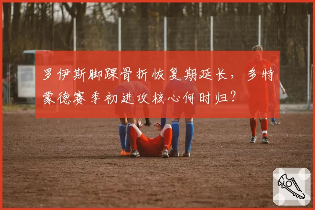 罗伊斯脚踝骨折恢复期延长，多特蒙德赛季初进攻核心何时归？