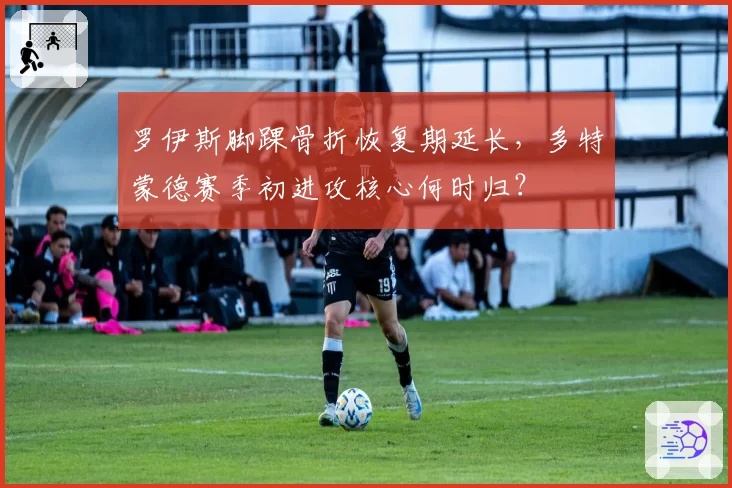 罗伊斯脚踝骨折恢复期延长，多特蒙德赛季初进攻核心何时归？